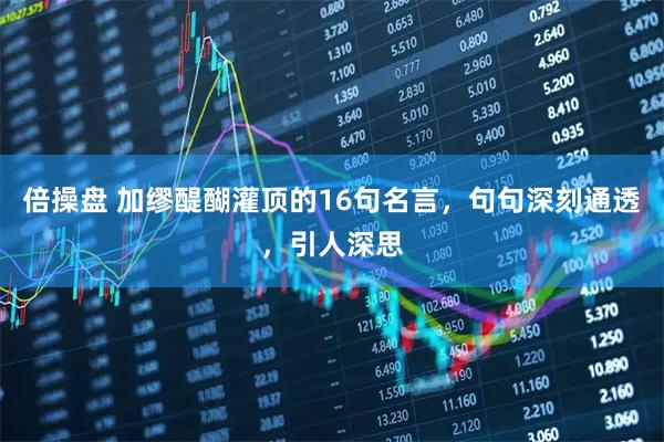 倍操盘 加缪醍醐灌顶的16句名言，句句深刻通透，引人深思