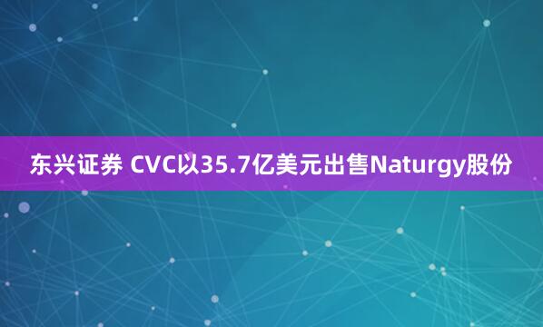 东兴证券 CVC以35.7亿美元出售Naturgy股份