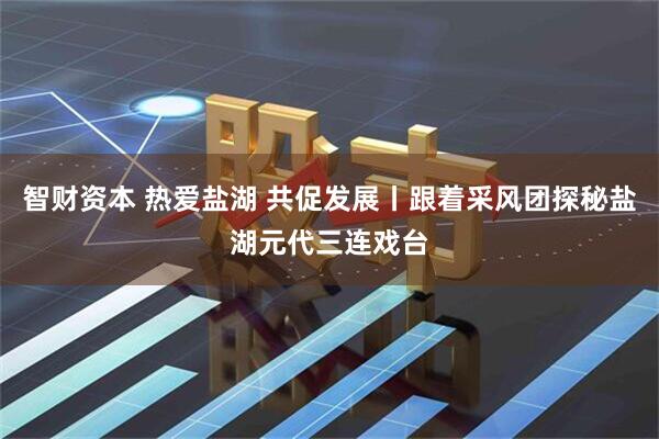智财资本 热爱盐湖 共促发展丨跟着采风团探秘盐湖元代三连戏台