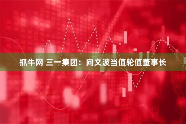 抓牛网 三一集团：向文波当值轮值董事长